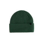 Forecast Beanie - Pine